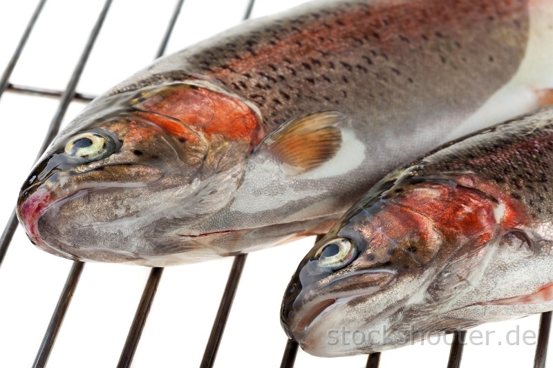 _MG_6593_trouts_grill.jpg - zwei Regenbogenforellen isoliert auf weißem