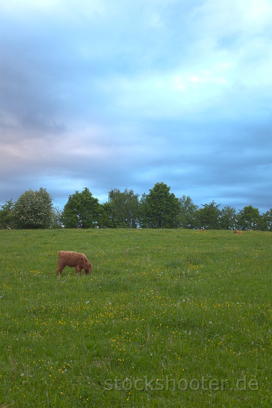 wiese.jpg - happy woman with a hat outdoors