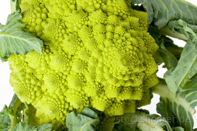 IMG_3070_romanesco.jpg - single romanesco vegetable isolated on white