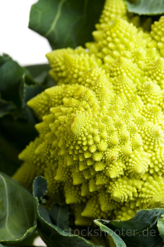 _MG_0011_romanesco.jpg