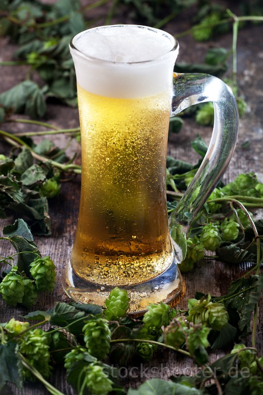 _MG_2787_beer.jpg - beer in a glass and hop
