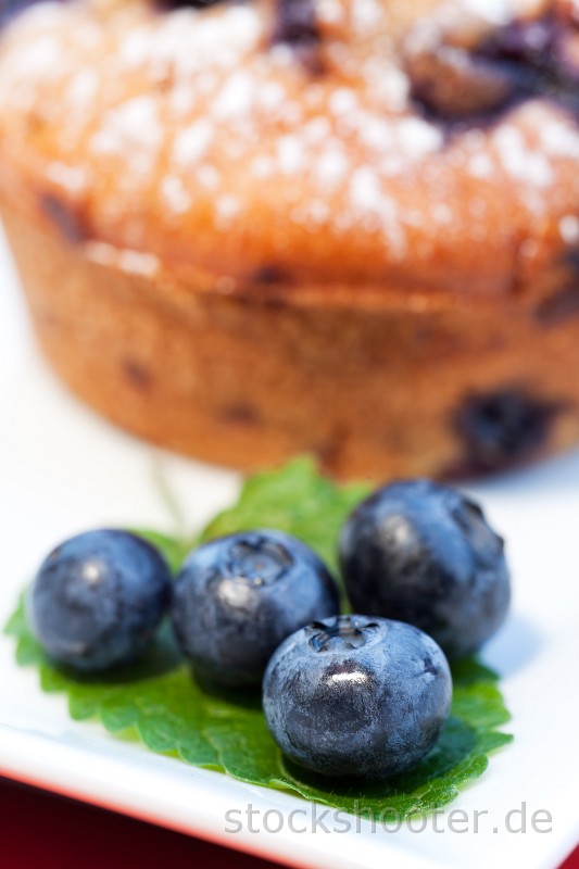 _MG_7198_blueberrymufin.jpg - Blaubeermuffin auf einem Teller