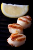 _MG_1932_scallops