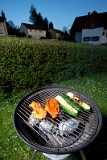 _MG_4413_grill