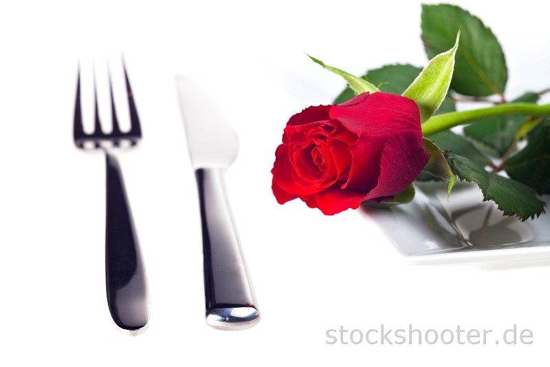 IMG_0050_rose_plate_hp.jpg