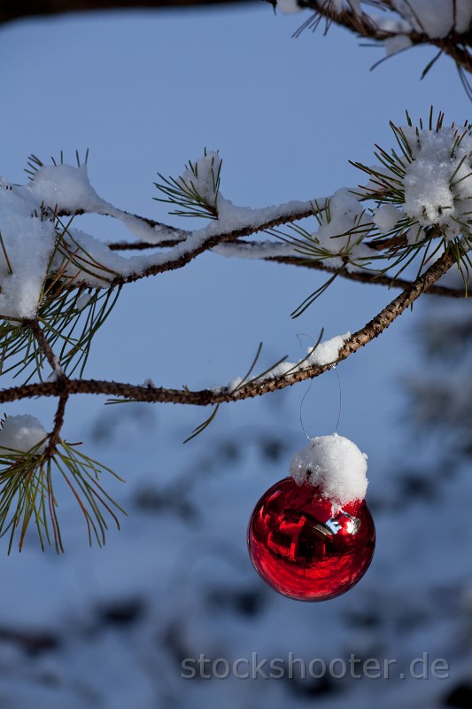 _MG_1767_bauble.jpg - red christmas bauble outdoor